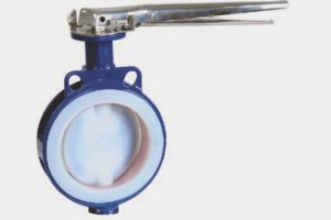 ptfeindia | Wafer Type Lined Butterfly Valve